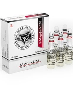 Magnum Mag-Jack 250
