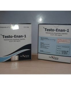 Testo-Enan amp